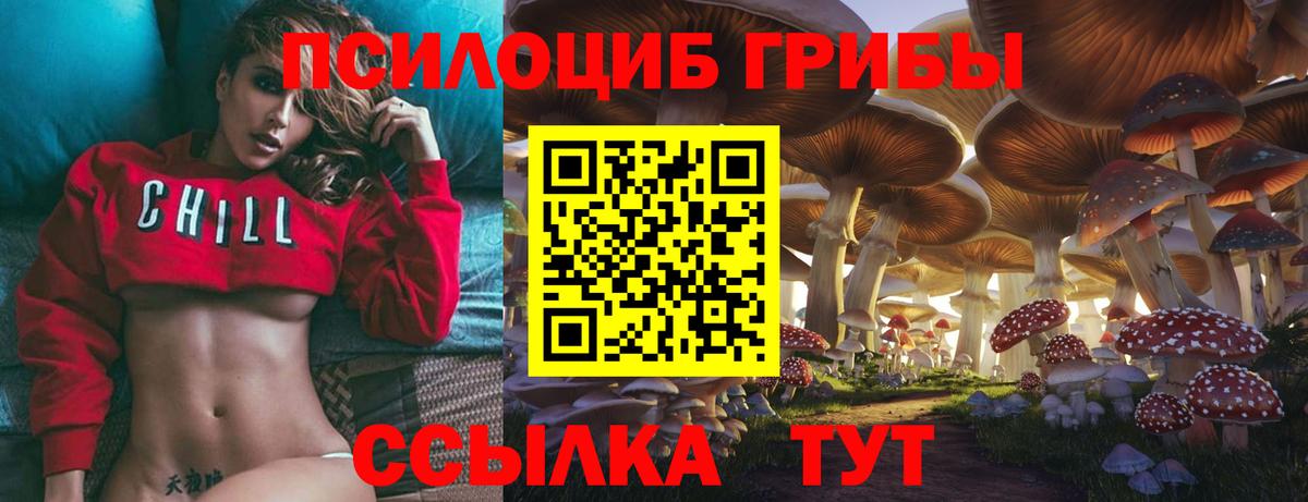 Воркута  Галлюциногенные грибы Psilocybine cubensis  Вход с VPN 